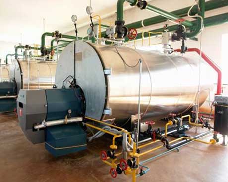 Steam Boiler in Edible Oil Plant