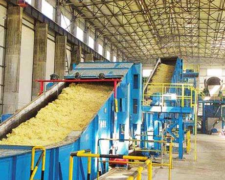 Steam Boiler for Sugar Plant