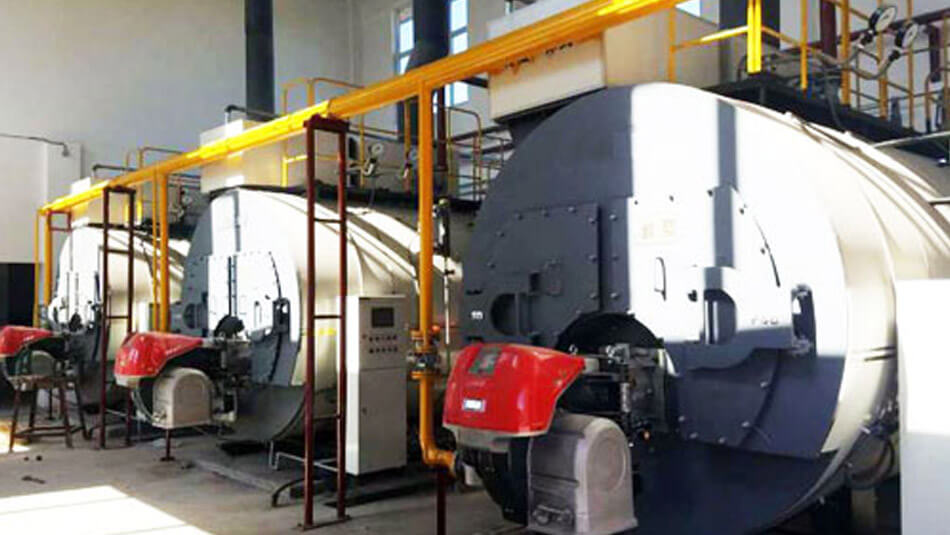 gas steam boiler