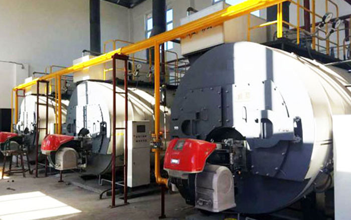 gas steam boiler