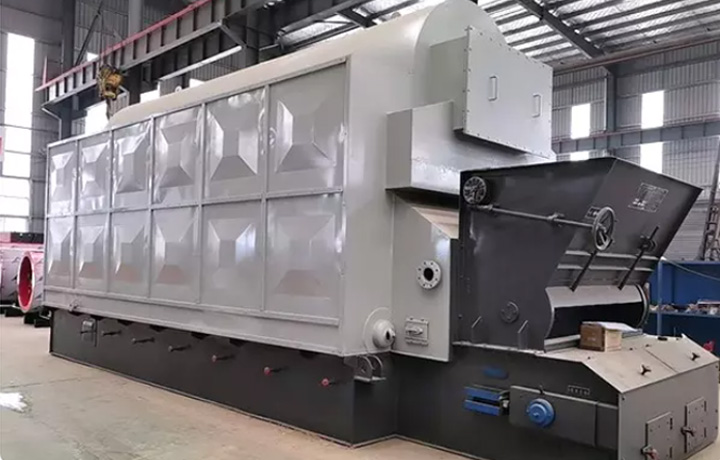 DZL-biomass-steam-boiler