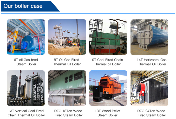 biomass-boiler-case