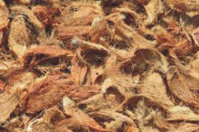 Coconut Husk