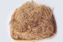 Pale Fiber