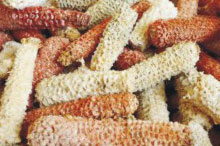 Corn Cobs