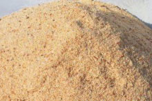 Sawdust