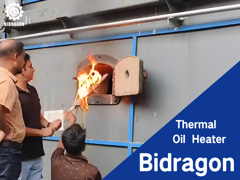 bidragon-thermal-oil-heater