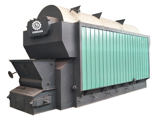 DZL-biomass-steam-boiler