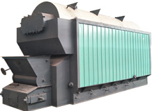 biomass steam boiler