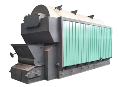 DZL-biomass-steam-boiler