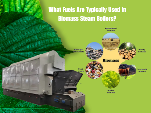 What-Fuels-Are-Typically-Used-In-Biomass-Steam-Boilers