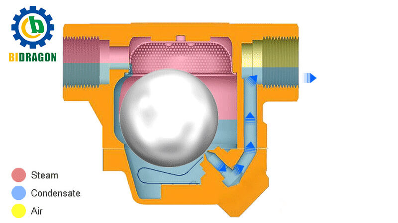 what-is-the-function-of-steam-trap-in-boiler