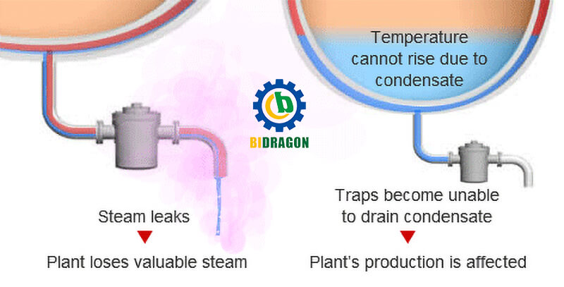 what-is-the-function-of-steam-trap-in-boiler