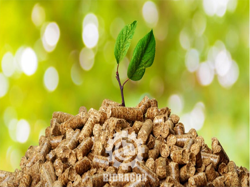 Maintenance of a Biomass Boiler