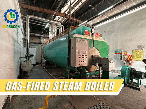 what-is-a-gas-fired-steam-boiler