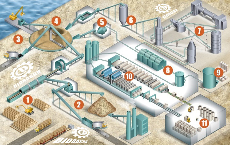 PulpPaper-processMap