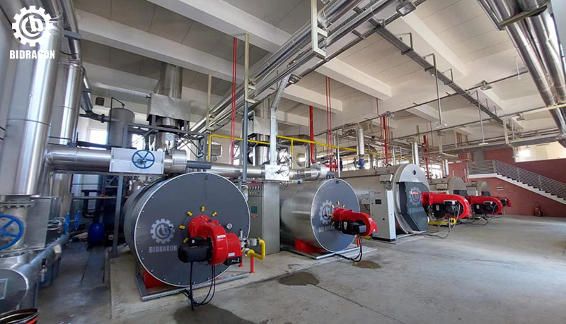 2_5-Million-Kcal-Gas-Thermal-Oil-Heater