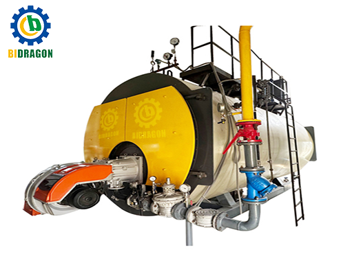 WNS6-steam-boiler
