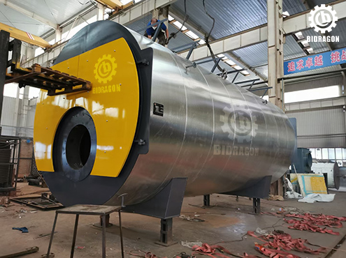 bidragon-gas-fired-boiler