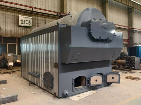 multi-fuel-steam-boiler