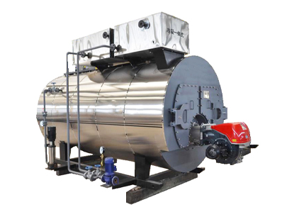 wns-series-gas-fired-steam-boiler